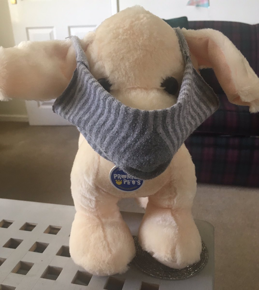 CAYPTeam's tweet photo. Look what we made with scissors and a sock #simples #trytryandtryagain @donalscannell #meggy #getcreative https://t.co/emawYqqU2H