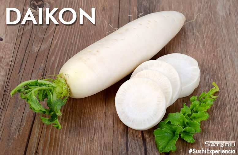 KimasuMx's tweet photo. El daikon, también conocido como rábano blanco, nabo daikón o rábano japonés, es un tipo de rábano blanco. Su aspecto es similar a una zanahoria blanca, su textura es crujiente y su sabor es más suave en comparación con el sabor del rábano normal. https://t.co/U0icwgeaZq