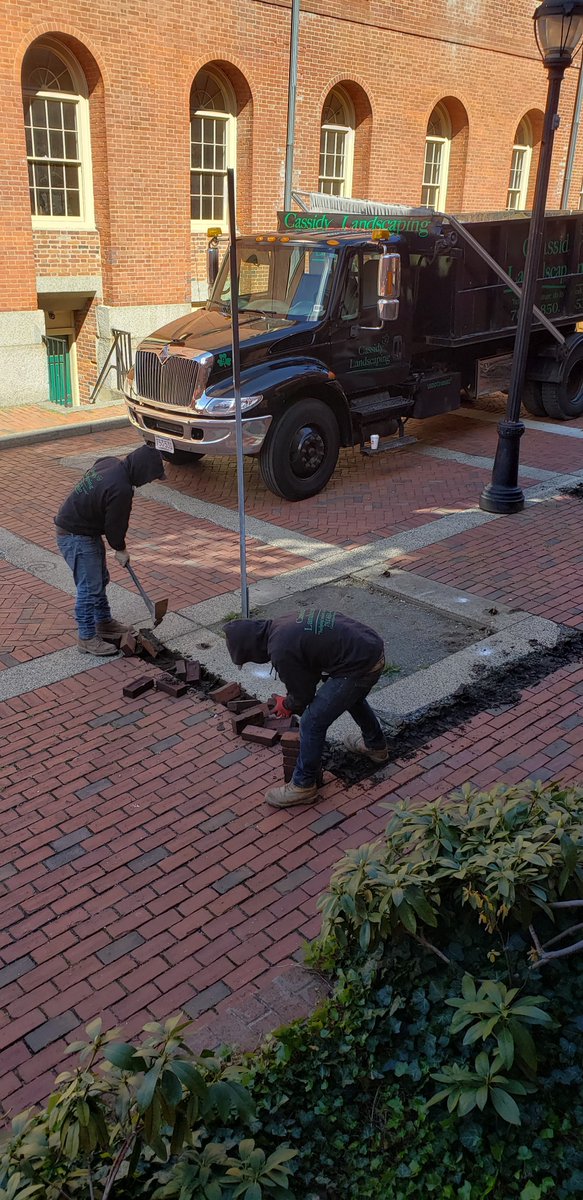 SalemMADPS's tweet photo. SalemDPS@work: Preparing pits for new tree planting near Old Town Hall and throughout downtown.  Taking advantage of smaller crowds around, preparing for when larger crowds return! #PublicWorks. #publicworksmakesithappen https://t.co/QPY1rcdtj4