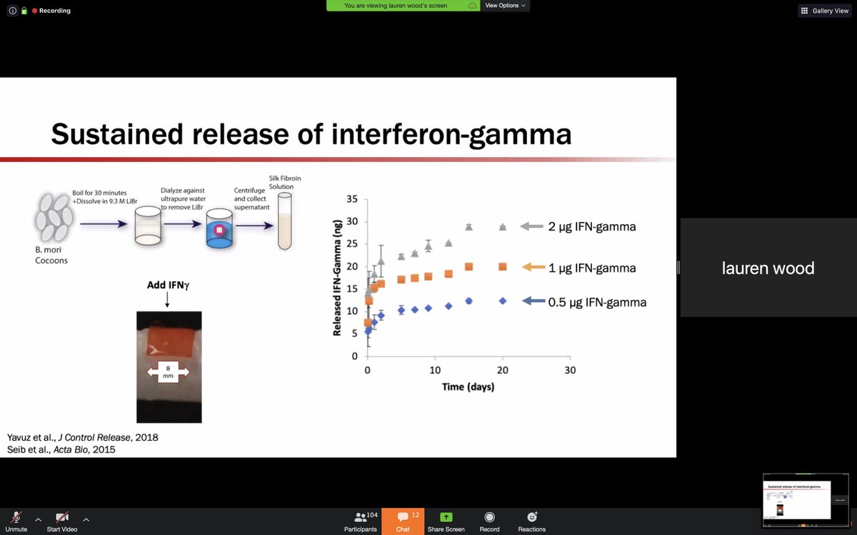 StanfordSurgery's tweet photo. .@lsywmd presents "Sustained release interferon-gamma increase M1 tumor-associated macrophages and suppresses tumor growth in an orthotopic neuroblastoma mouse model" #Holman20 https://t.co/cRaFR4cDzA