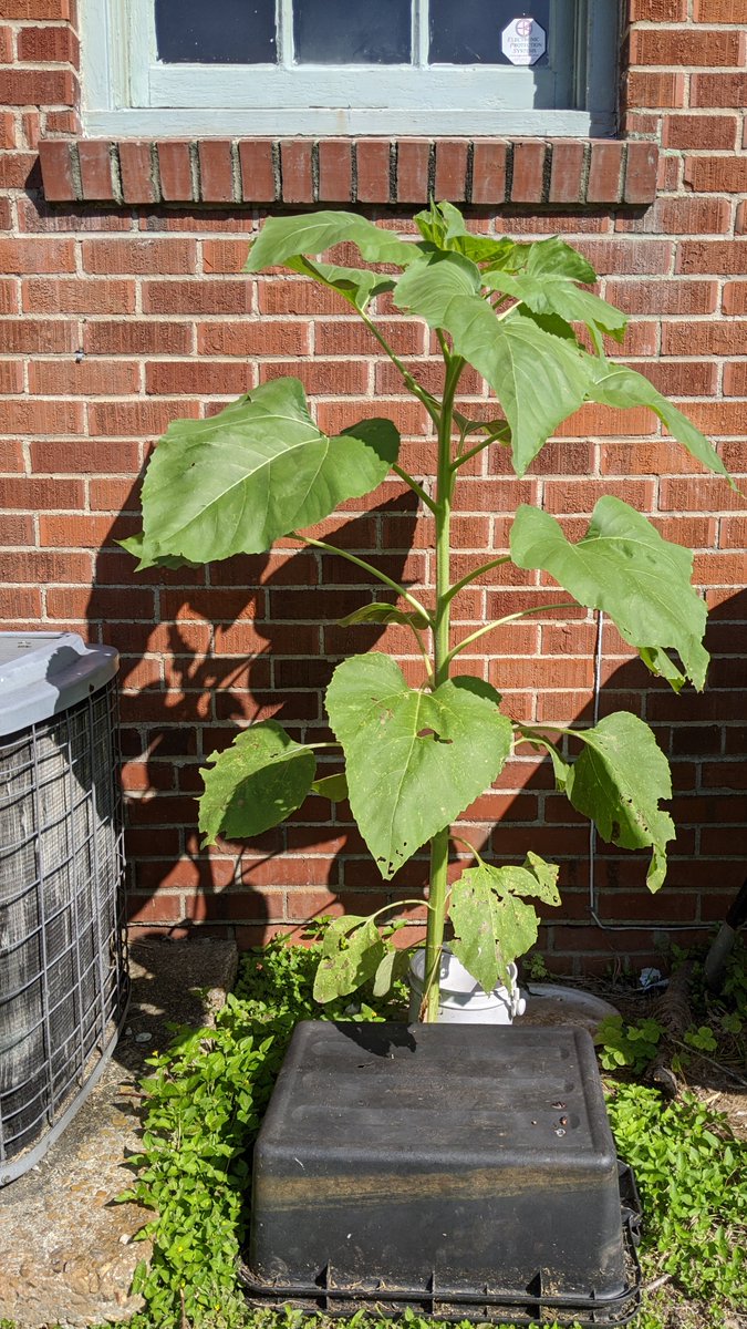 Eric Tobin 🏳️‍🌈 tweet media