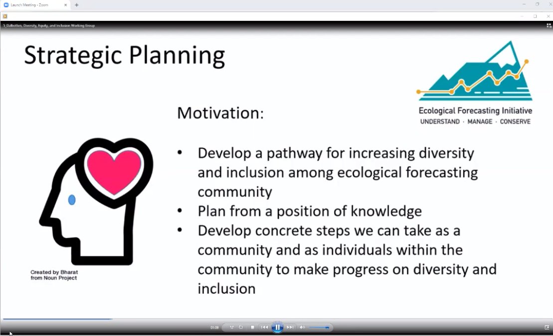 eco4cast's tweet photo. Diana Dalbotten giving a nice overview of the strategic planning process the #EFI2020 diversity and inclusion working group has been using to focus their efforts #EFI_RCN https://t.co/ld7c5LOfwU
