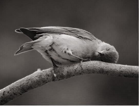 ليس كل الرزق مالاً ❕
 بل إن من أجمل الأرزاق
سكينة الروح ، ونور العقل ، وصحة الجسد وصفاء القلب وسلامة الفكر ودعوة أم ، وعطف أب ووجود أخ ، وضحكة ابن واهتمام صديق ودعوة مُحب في الله ..
أنعم الله علينا وعليكم بتلك الأرزاق كلها ..