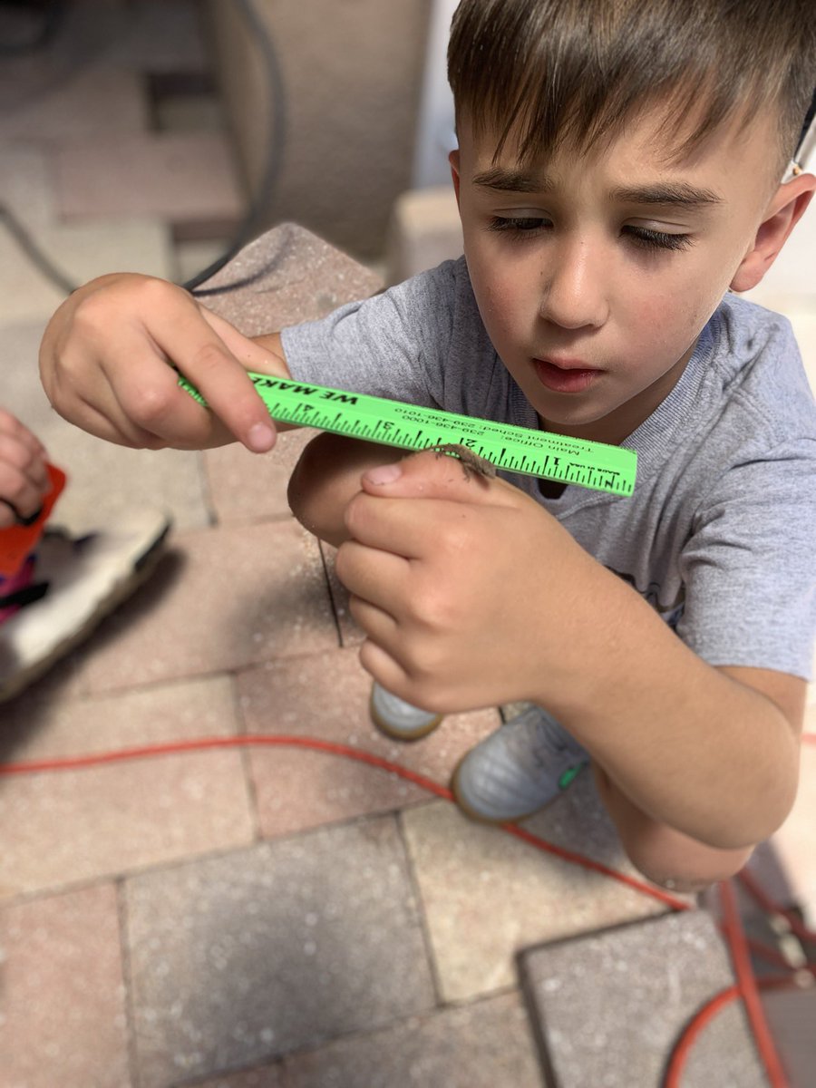 Coataltan's tweet photo. Measuring length for Math today. All hands on deck. #math #mathlessons #length #inches #measuring #ccps @cyspotts @BCEBobcat #virtuallearning https://t.co/TKWEvT1v3d