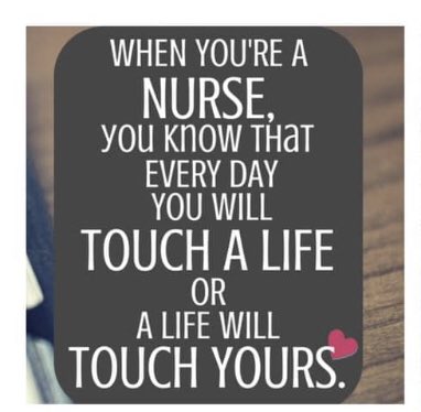 Paula McCarthy tweet media