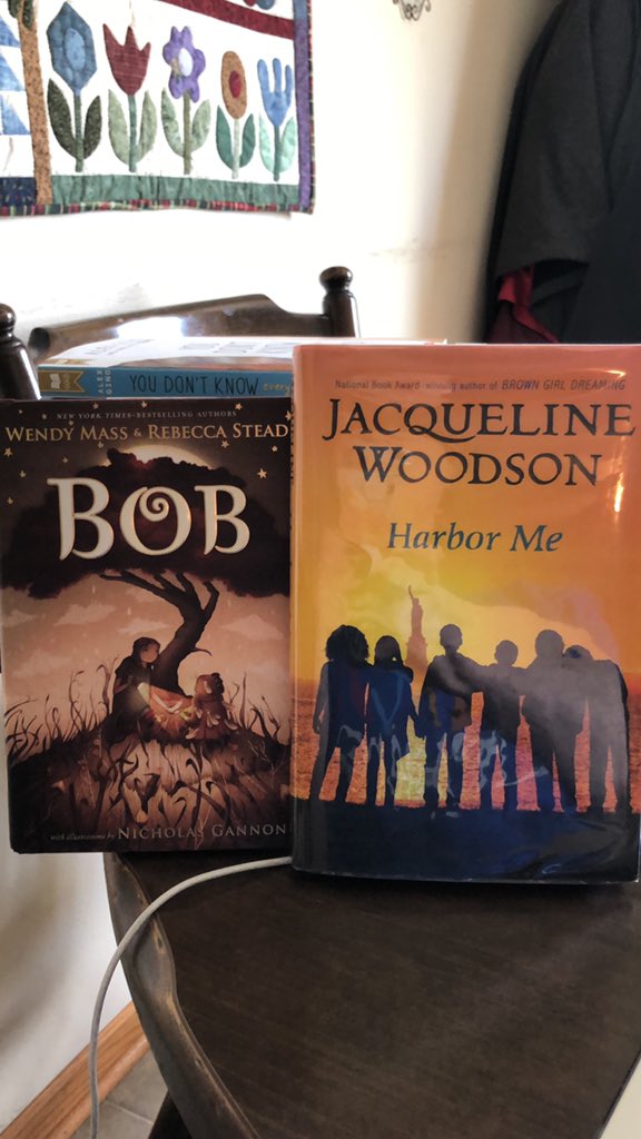 BeccyVerHeul's tweet photo. These are my June and July book zooms. https://t.co/6NojoaCfGs