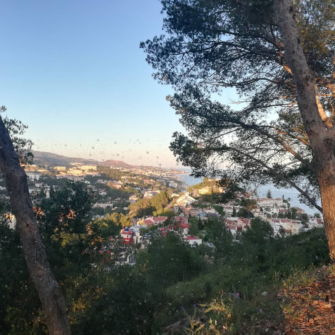 ChusHeredia's tweet photo. Estas instantáneas #sinfiltros son de hoy, desde la misma cima de #Gibralfaro #Sancha tras venir de #MonteVictoria #Seminario. #Málaga ofrece naturaleza montañosa casi en pleno centro. Una maravilla. Estos días me brindan buenas kilometradas de #marcha. https://t.co/nvohYTdesI