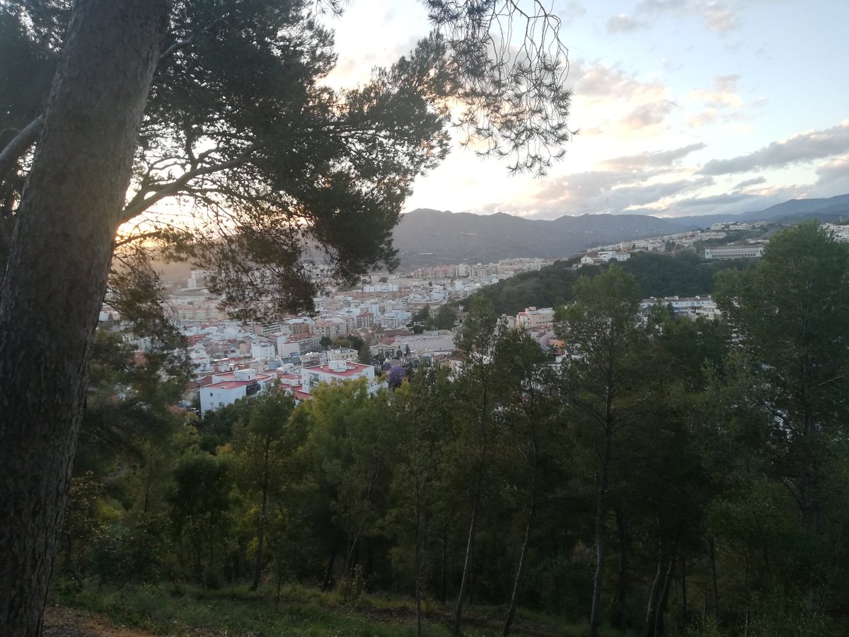 ChusHeredia's tweet photo. Estas instantáneas #sinfiltros son de hoy, desde la misma cima de #Gibralfaro #Sancha tras venir de #MonteVictoria #Seminario. #Málaga ofrece naturaleza montañosa casi en pleno centro. Una maravilla. Estos días me brindan buenas kilometradas de #marcha. https://t.co/nvohYTdesI