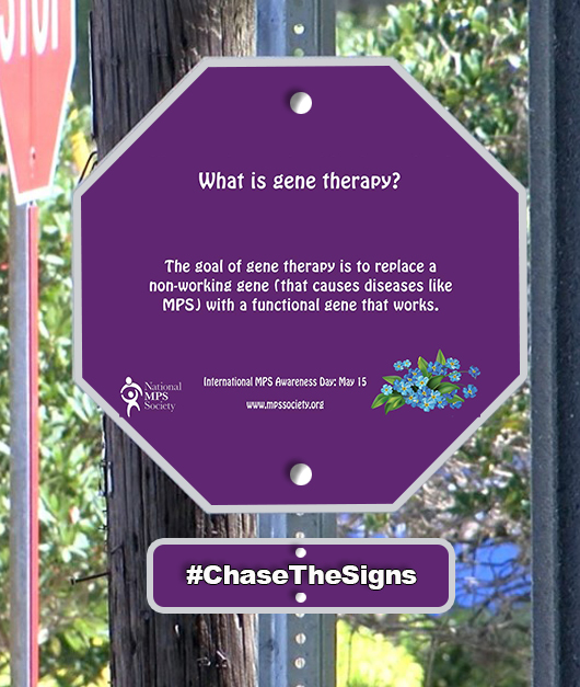 MPSSociety's tweet photo. #factaday leading up to #MPSDay2020 on May 15th!
#chasethesigns #MPSAwarenessDay #NationalMPSSociety #InternationalMPSDay #InternationalMPSAwarenessDay #EnzymeTherapy #EnzymeReplacementTherapy #ERT #MPS #MPSML #MPSDayMay15 #chasingthesigns https://t.co/Ni5l785mQb