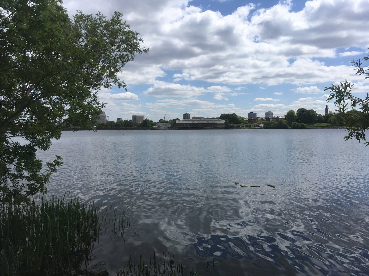 Day 1/7 of my life in pictures. Rules: no words, no people, nominate someone new every day. I was nominated by <a href="/MuttleyGump/">Dr Roni McGowan</a> and I nominate @ZoeSchnepp