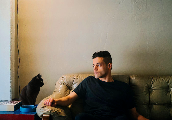 Happy Birthday to Rami Malek, apparently allergic to cats 