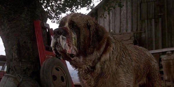 6. cujo