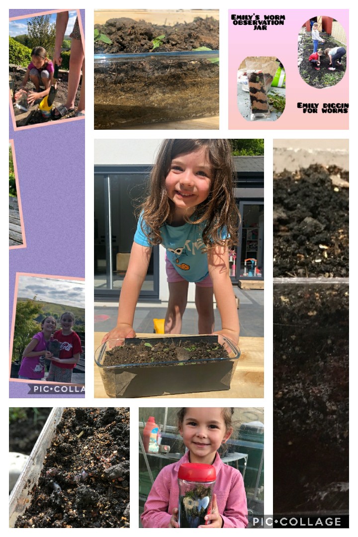 GPSMrsLEvans tweet media