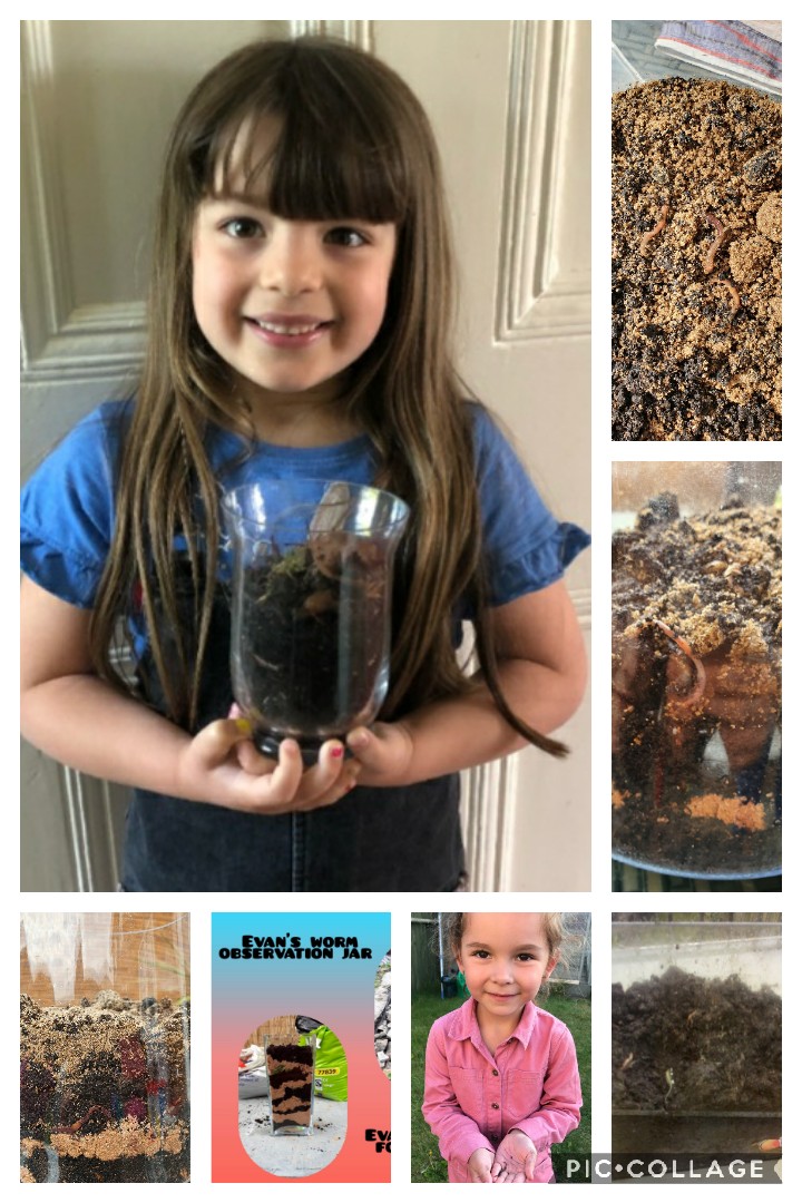 GPSMrsLEvans tweet media