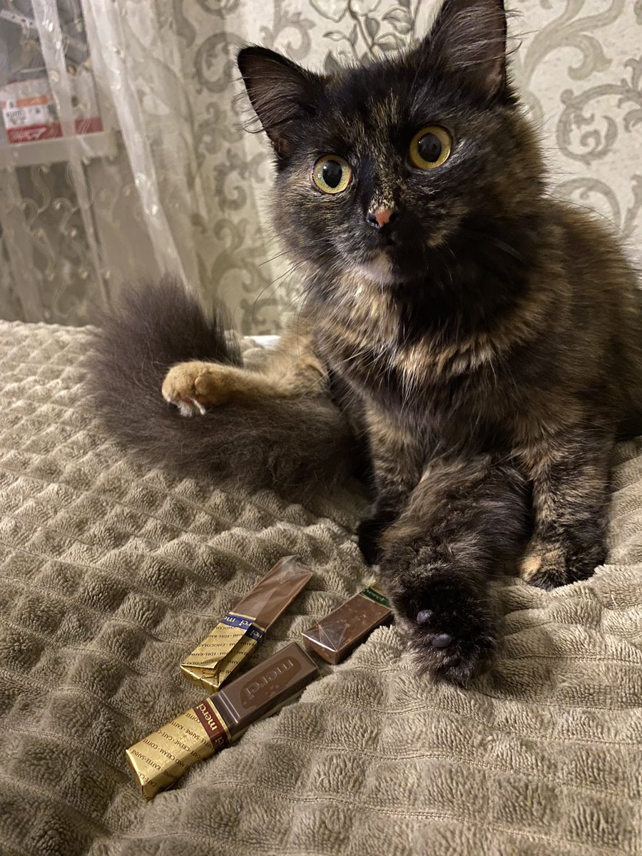 vikashemya's tweet photo. Конфетки нннада? https://t.co/bWbevXDSe1