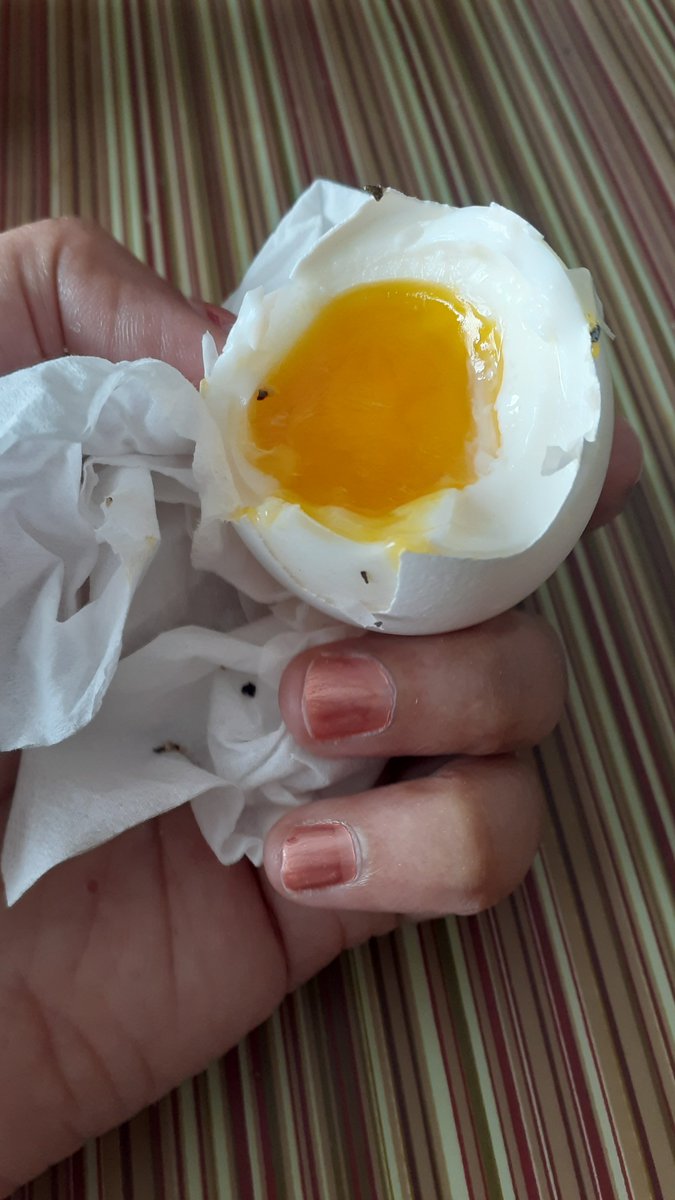 DotsWritingDojo's tweet image. I love cooking and eating hard-boiled eggs. First put temp to 6 or 7 (medium/high) and let water boil. Then lower temp to 4 (low) and place eggs in there for 5 minutes. Yummy! #Eggs, #eggsforimmunity, #nomnom