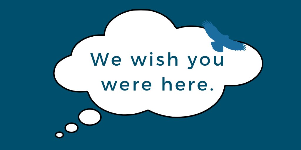 SOARsou's tweet photo. Today we are missing seeing all of our students, faculty, and staff's passions and accomplishments at SOAR. We are thinking of everyone who put in hard work to be part of SOAR. However, we are looking forward to SOAR 2021 even more! https://t.co/0YIPaFVUoz