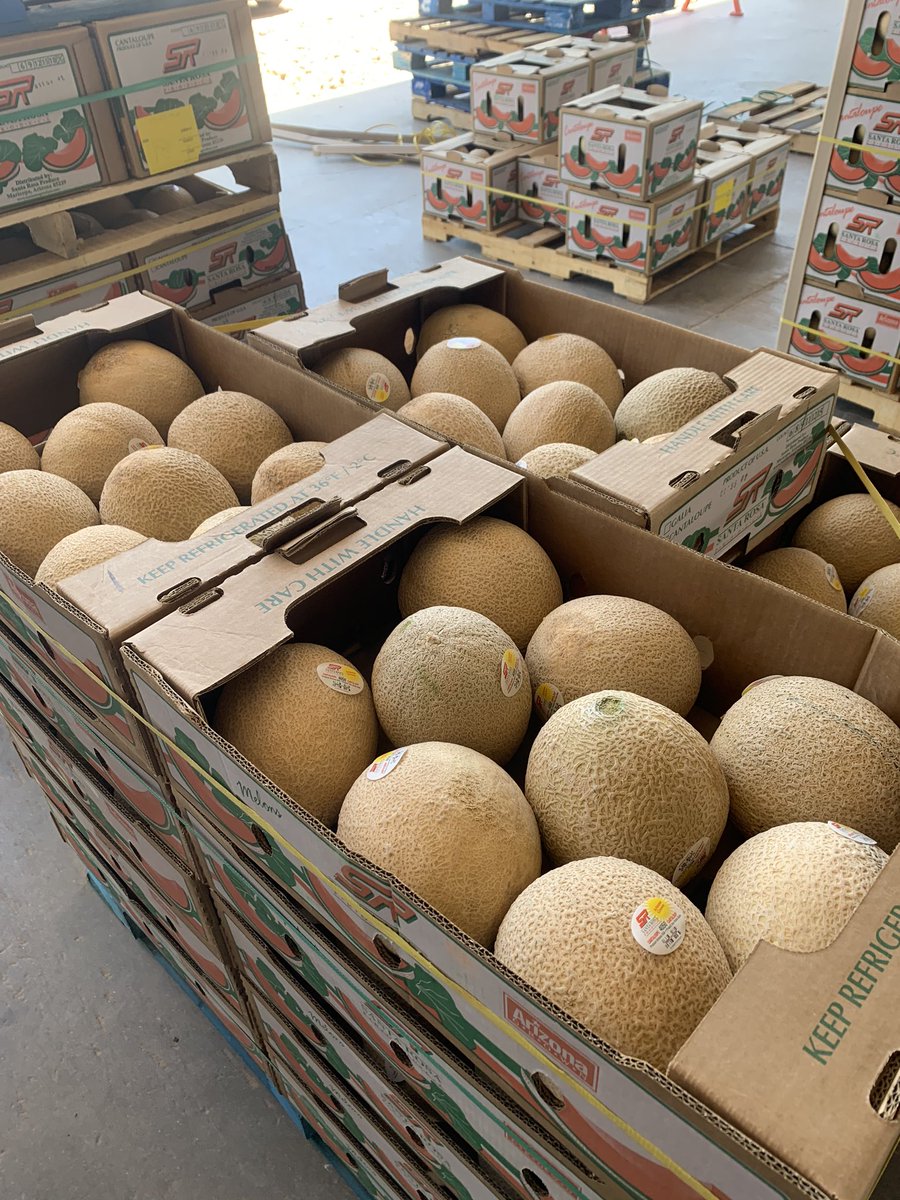 SantaRosaProduc's tweet photo. https://t.co/qzQK7mjxqe