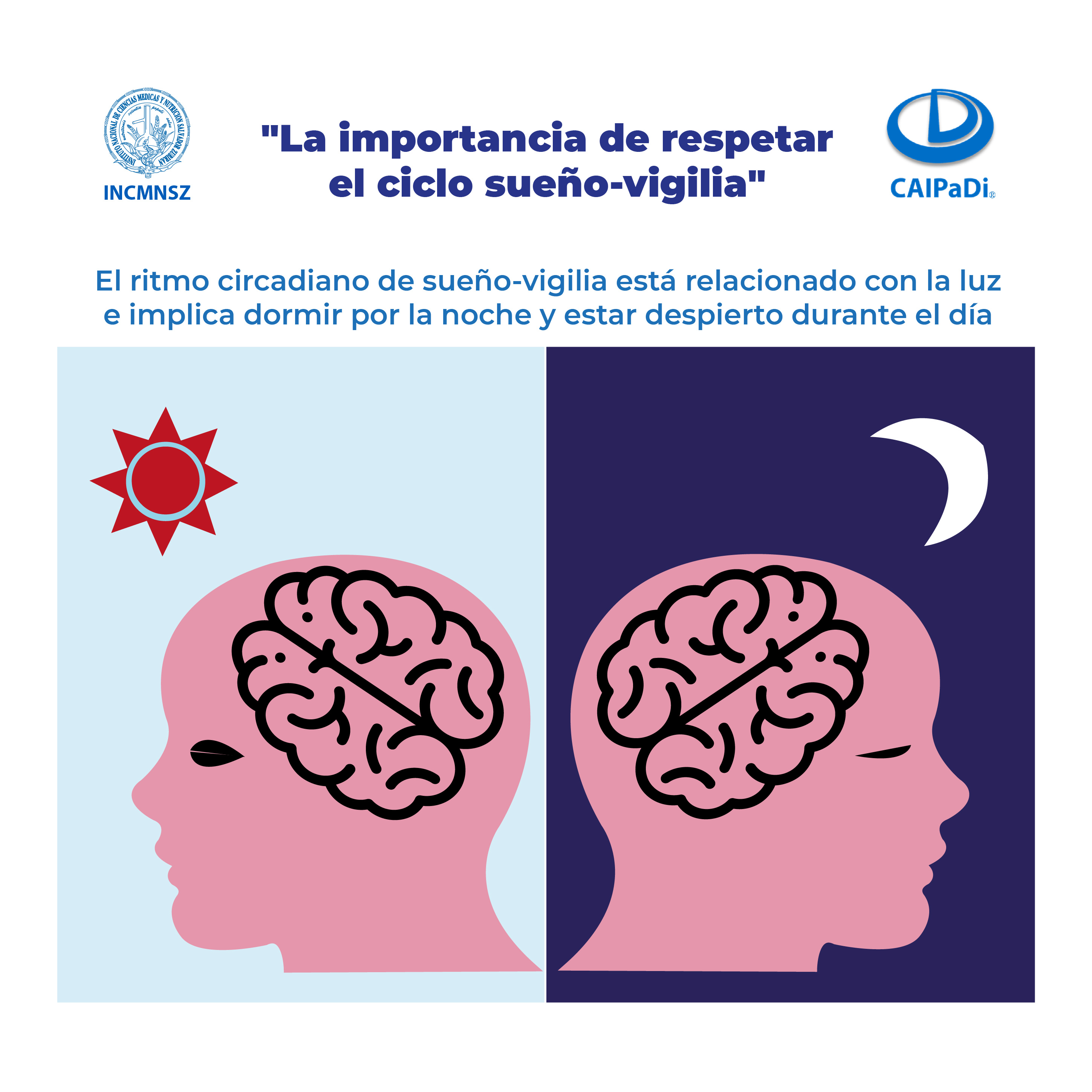Sueño circadiano online