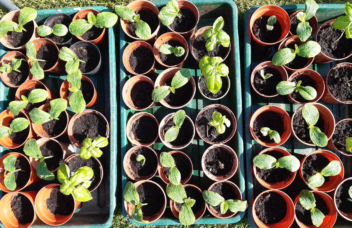 Day 4/7 #mylifeinpictures no people, no words, nominate a new person each day. I was nominated by the glorious <a href="/alisonbolton/">Ali Bolton</a> and today I challenge the sensational @deirdre_fowler1