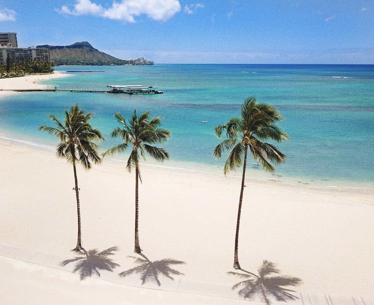 JMichael_Smith's tweet photo. #ThreePalms #Hawaii is healing well and New exciting Opportunities are available in the #GlobalDigitalEconomy #workfromhome🌴🌴🌴 https://t.co/xzoqIhYZzK