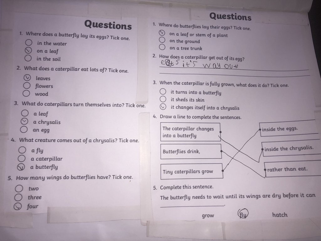 sophP18's tweet photo. Home schooling for riley! Might start getting the kids to call me miss soon! 😂🥰 @st_michaels_ce https://t.co/1q2A5Q65ao