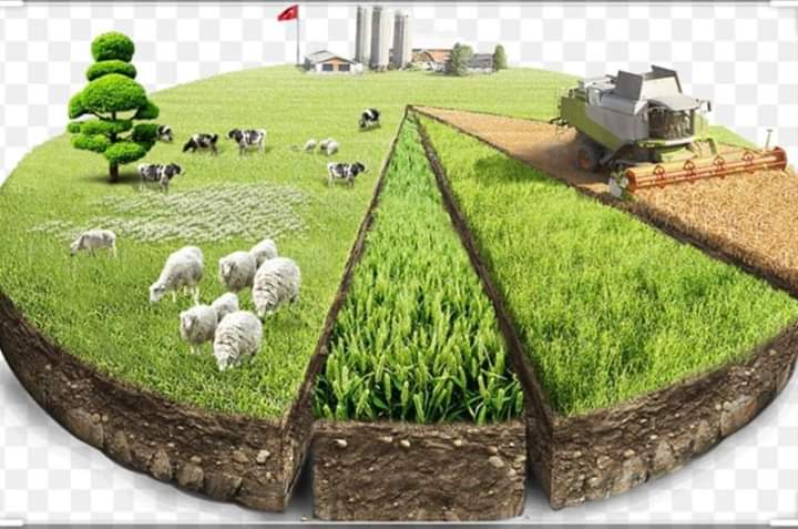MucellaSaler's tweet photo. #sera #hayvancılık #tıbbiaromatikbitki yetiştirmek isteyenlere makine ekipman %55-65 #hibe #mibzer #külvatör #rotatil #pulluk https://t.co/sStjs8dxXb