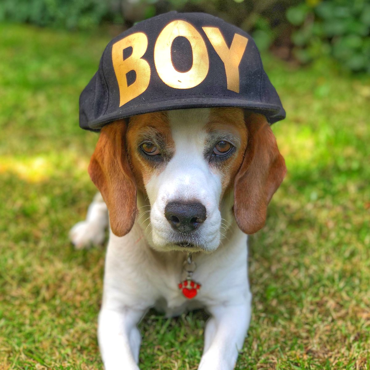 Ruby Garamond tweet media