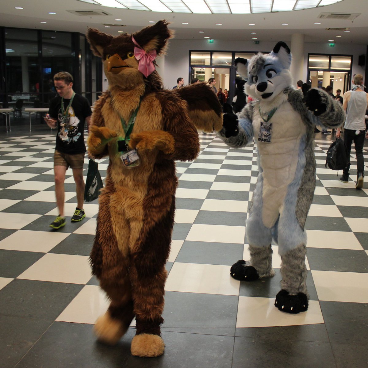 <a href="/Dywell/">Dywell Dywi</a> #EF24