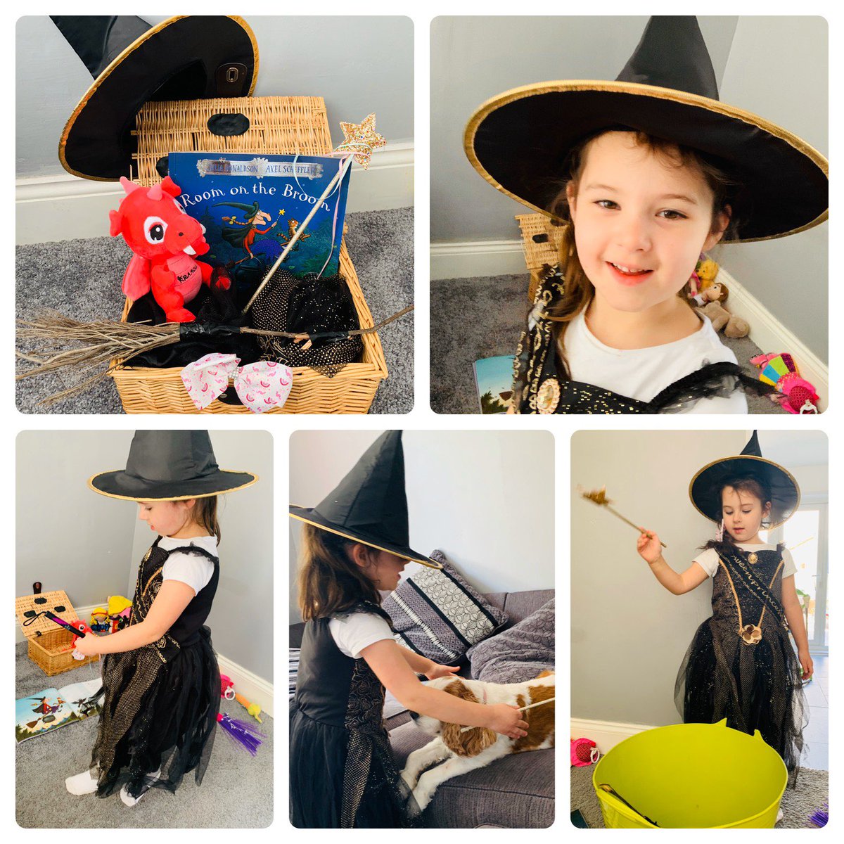 barry090's tweet photo. We loved our story basket 😍even tried to get Millie dog to sit on the broom when re-enacting the story🧹 🙈🧙‍♀️@MrsBrowningJPPS @JubileeParkPS @MissSmith_JPPS @MrsKMunn @evo941989 https://t.co/NPR6Q1XWX7