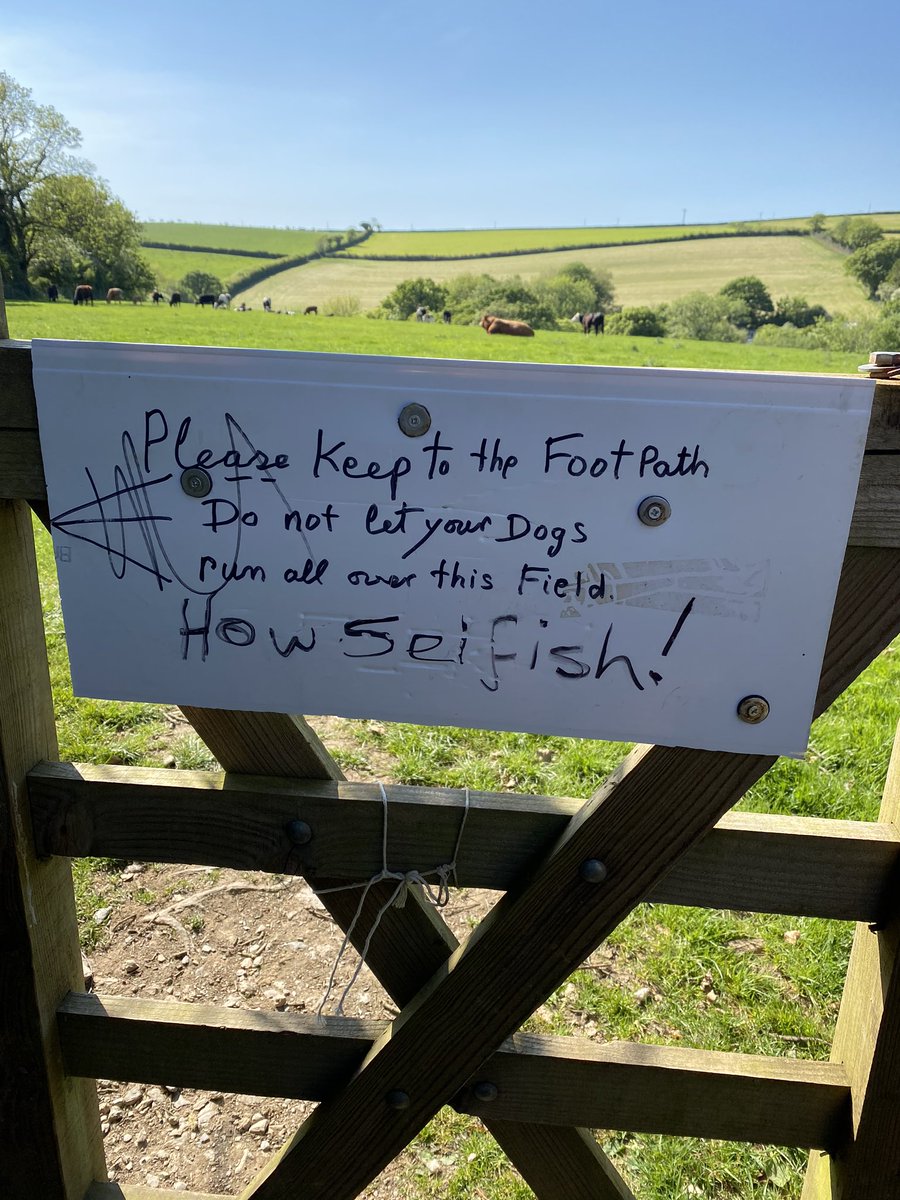GraceKempthorne's tweet photo. @herdyshepherd1 According to the good people of our village you are ‘selfish’ for not wanting their dogs to chase the cattle grazing in the fields #Idiots #LivestockWorrying https://t.co/jo20sONUIi