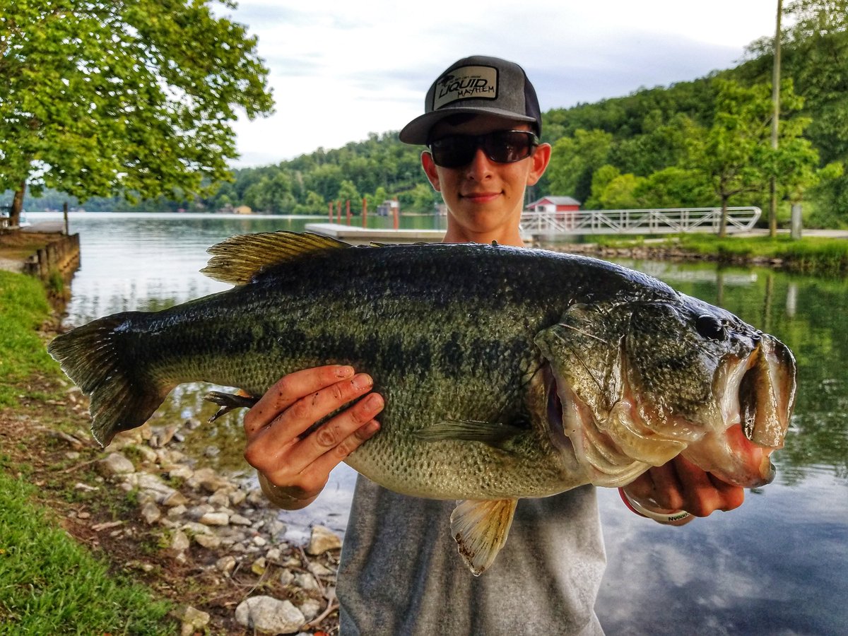 KidsThatFish tweet picture