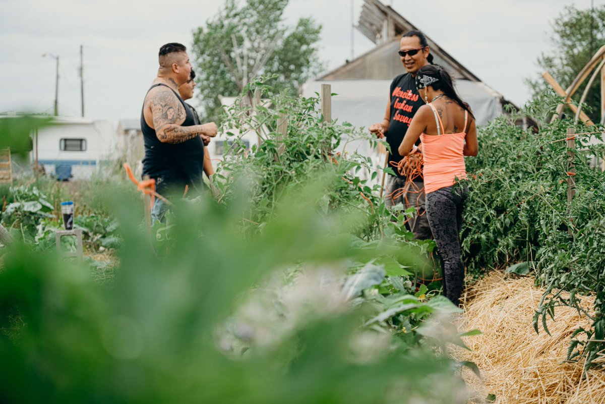 LeCielFdn's tweet image. “We work on seven tenets: food, fire, water, shelter, earth, spirit, and self. Those seven tenets are things that we all need. This is a common denominator amongst all humans." 
#ancestralknowledge #indigenous #permaculture #community #lakota #ecocentric 
overgrowthesystem.org/indigenous-led…