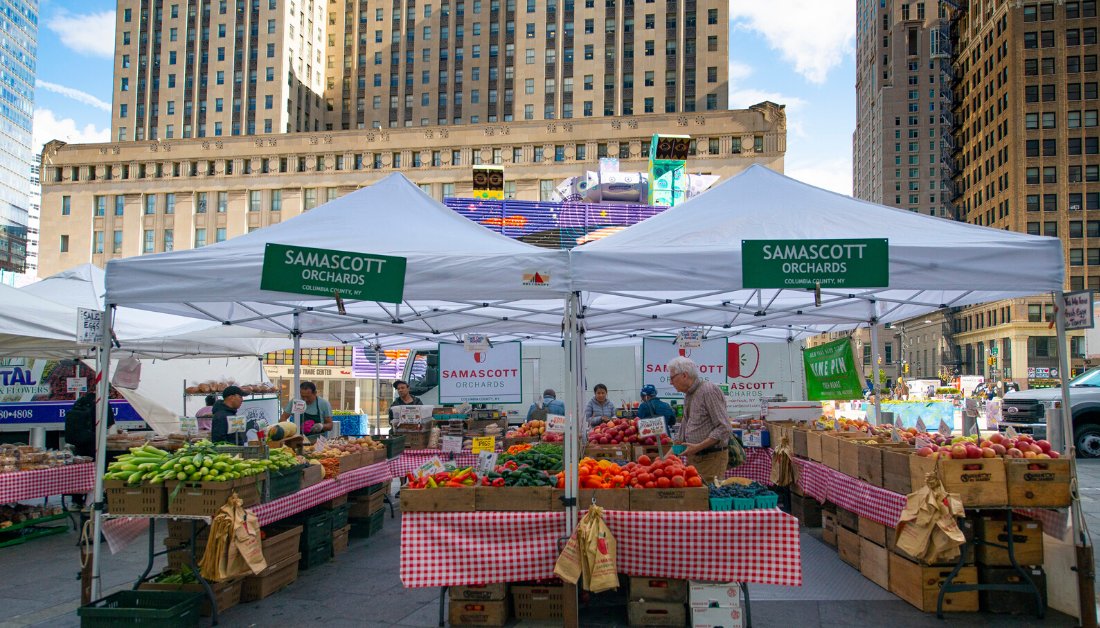 _WTCOfficial's tweet photo. Today we celebrate #GrowNYC50, Happy 50th birthday @GrowNYC! If you’re a local who misses the Greenmarket at the Oculus, #MayWeSuggest checking out the open #GrowNYC Greenmarkets in your neighborhood? ! 🎂🎊💚 Check out the list here: https://t.co/z4VlJkNt8k https://t.co/d3yYVl921t