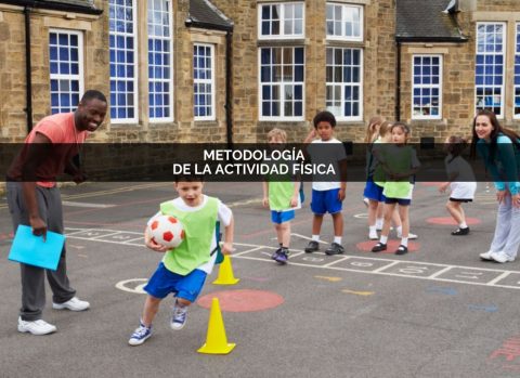 📢📢📢Nuevo curso📢📢📢. METODOLOGÍA DE LA ACTIVIDAD FÍSICA. #Conceptos #MétodosDeEnseñanza #EstilosDeEnseñanza Avalado por la Fundación de Investigación en Ciencias de la Actividad Física y del Deporte. wanceulenformacion.com/cursos/curso-d… Autores: José María Cañizares y Carmen Carbonero