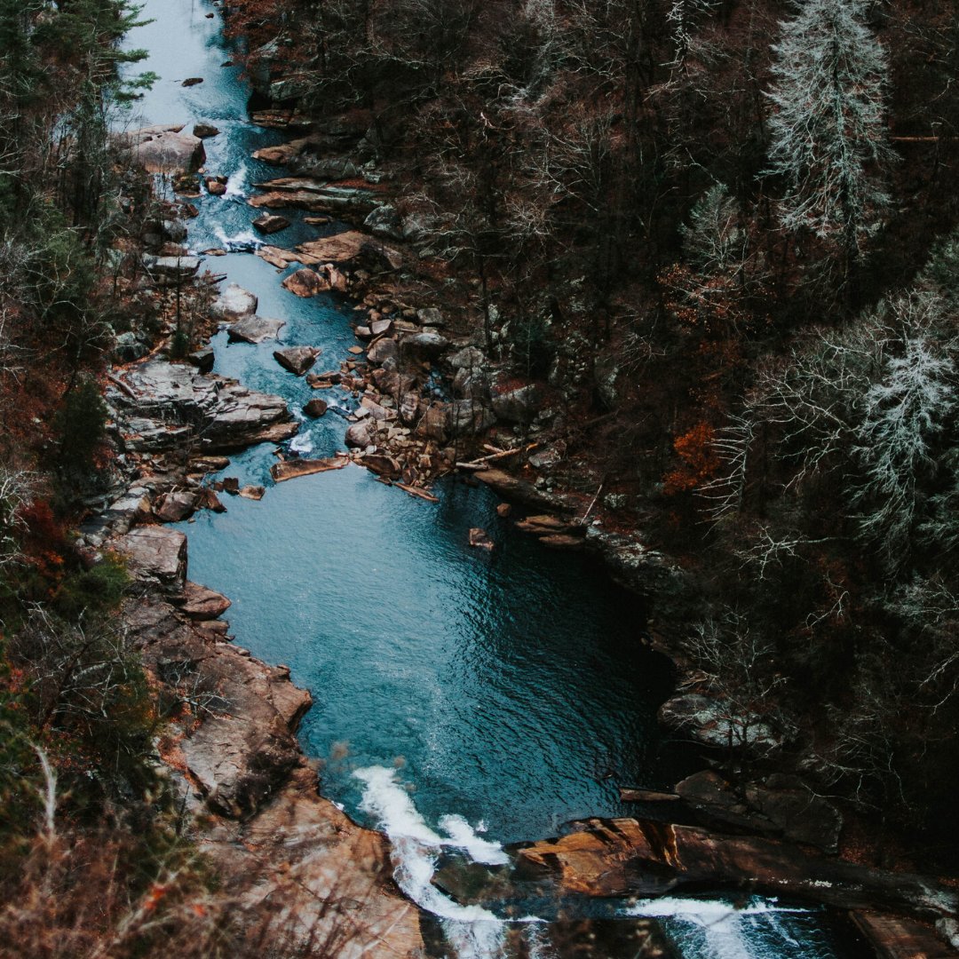 JIFUlife's tweet photo. Find the good in every day! π²
πTallulah Falls, United States
#jifu #traveltallulahfalls #tullulahfalls #georgia #southernadventure #gooutside #travelthesouth #waterfalls #forest #camping https://t.co/Ncg3loMjqW