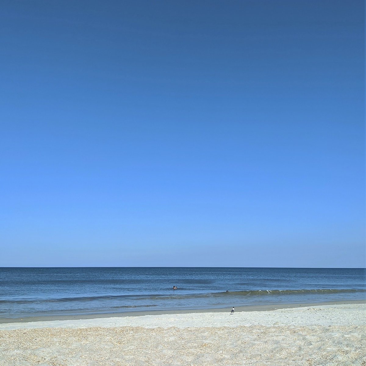 PurdySFG's tweet photo. Core Value #8: We have fun and we get stuff done.

As beaches open up more, we're having fun in the sun at the Purdy Home Office! Last week, we had a Cinco de Mayo beach day &amp; a surprise visit from the Blue Angels!

#workperks #lifestyle #imfinebecause #purdysfg #jaxsmallbusiness https://t.co/aqFfb4MSkw