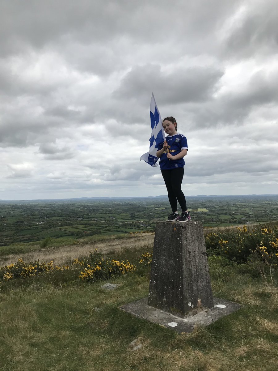 Aisling Flynn tweet media
