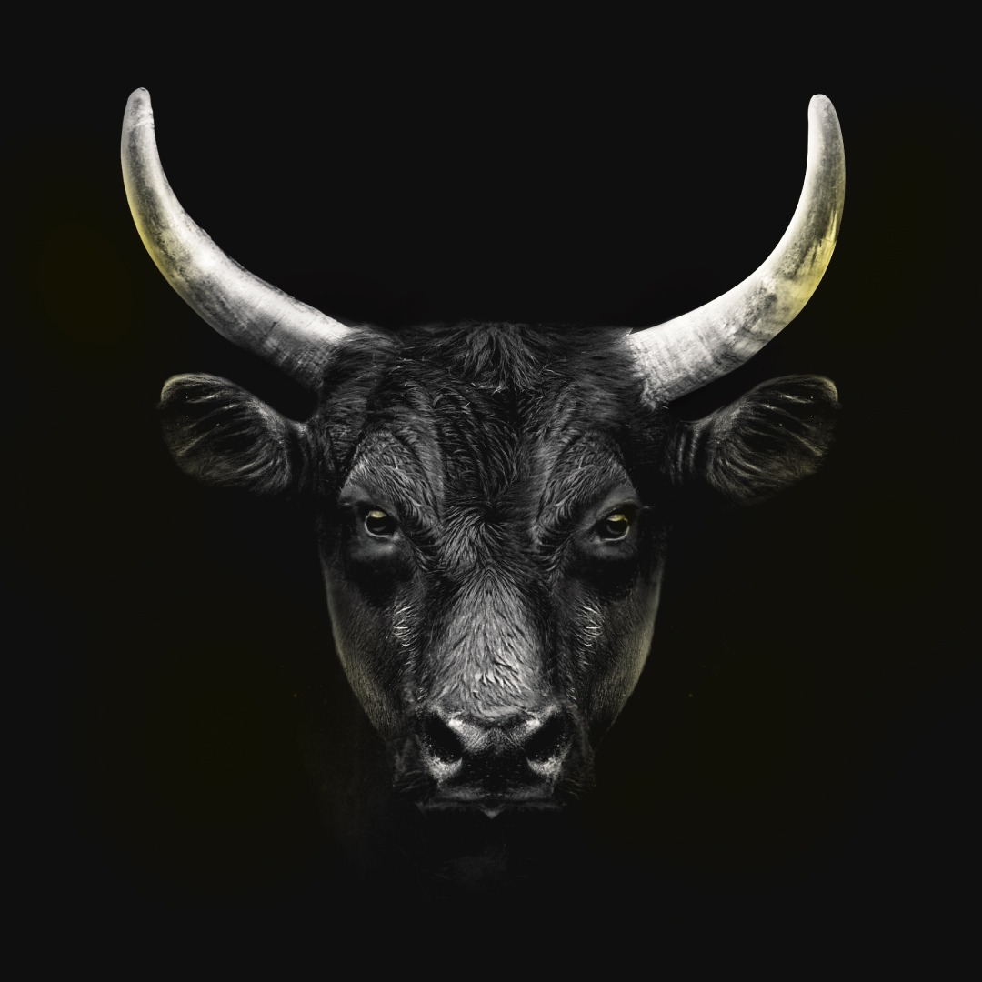 TRC Cars “ Kara Boğa “ #twingoridersclub #trc #twingo #renaulttwingo #twingotürkiye