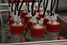 MoniqueNieuw's tweet photo. Wageningen University &amp; Research wil een Publiek Private Samenwerking (PPS) project opzetten rondom de veilige toepassing van #zeewier voor #veevoer van #melkvee. Zij zoeken hiervoor partners om hier vanaf 2021 tot 2025 samen onderzoek naar te doen. @wur https://t.co/V6J9SZAiq5 https://t.co/4jsL6RHiSZ