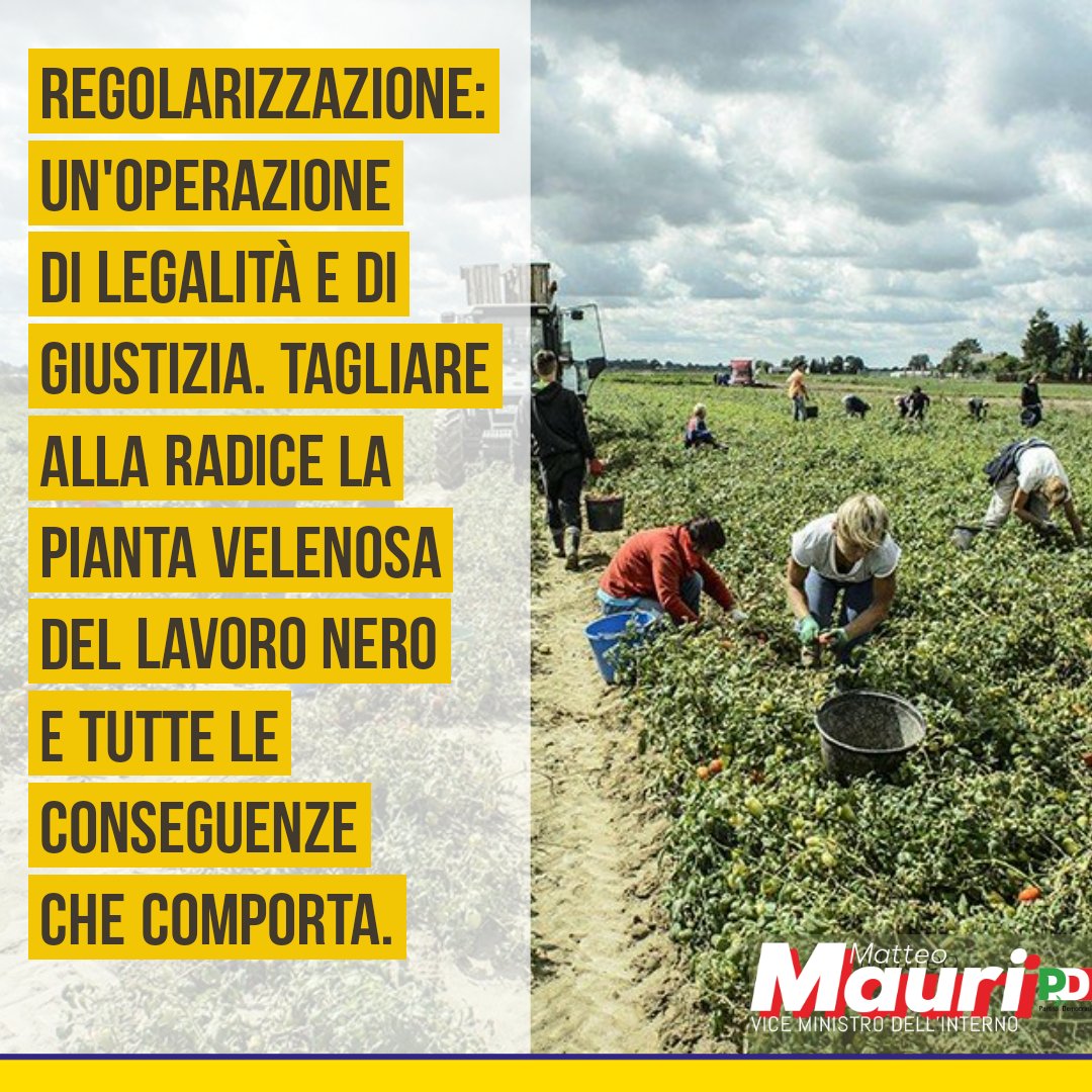 È ora di dire basta alle polemiche. Nessuno ha intenzione di dare uno scudo penale a chi si è macchiato di reati odiosi come il #caporalato, favoreggiamento all' #immigrazione clandestina e #lavoronero. Sia ben chiaro!
👇   👇  👇 tinyurl.com/ydd5lz4m