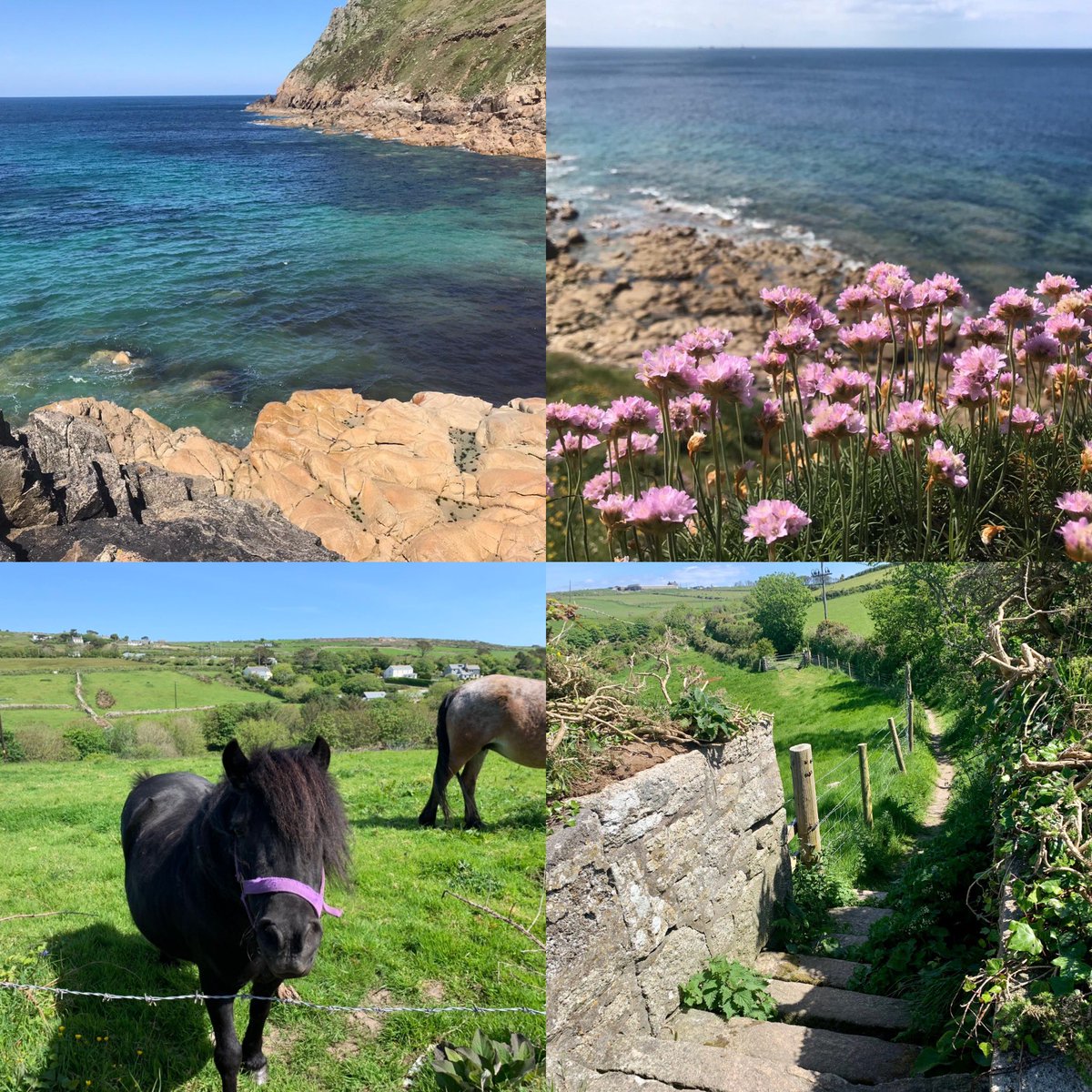 Beautiful walk today from Roselands to Cot Valley. Then into St Just for a pasty and back to Roselands.
Stay safe all.
Craig &amp; Kerry
