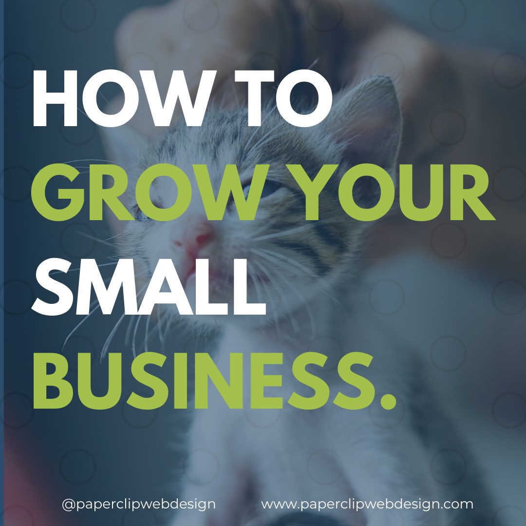 paperclipwebdzn's tweet photo. Learn to grow your small business! #webdesign #websitemaintenance #seo #socialmediamanagement #bahamas #smallbusiness https://t.co/LpqG23htVE