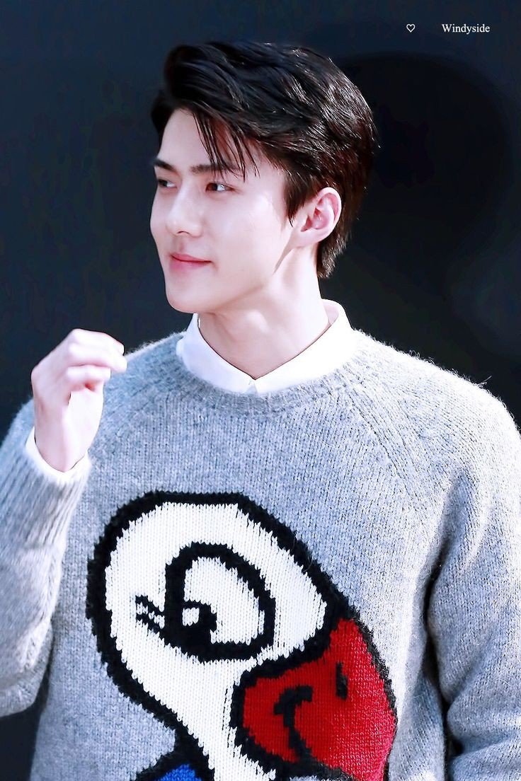 Sehun20Oh's tweet photo. #세훈버블 sehun back on bubble 😍😍 he is so cutee 😋 sarangaeee Sehuniee @weareoneEXO #SEHUN #Exobubble https://t.co/sN2ywVKd9i