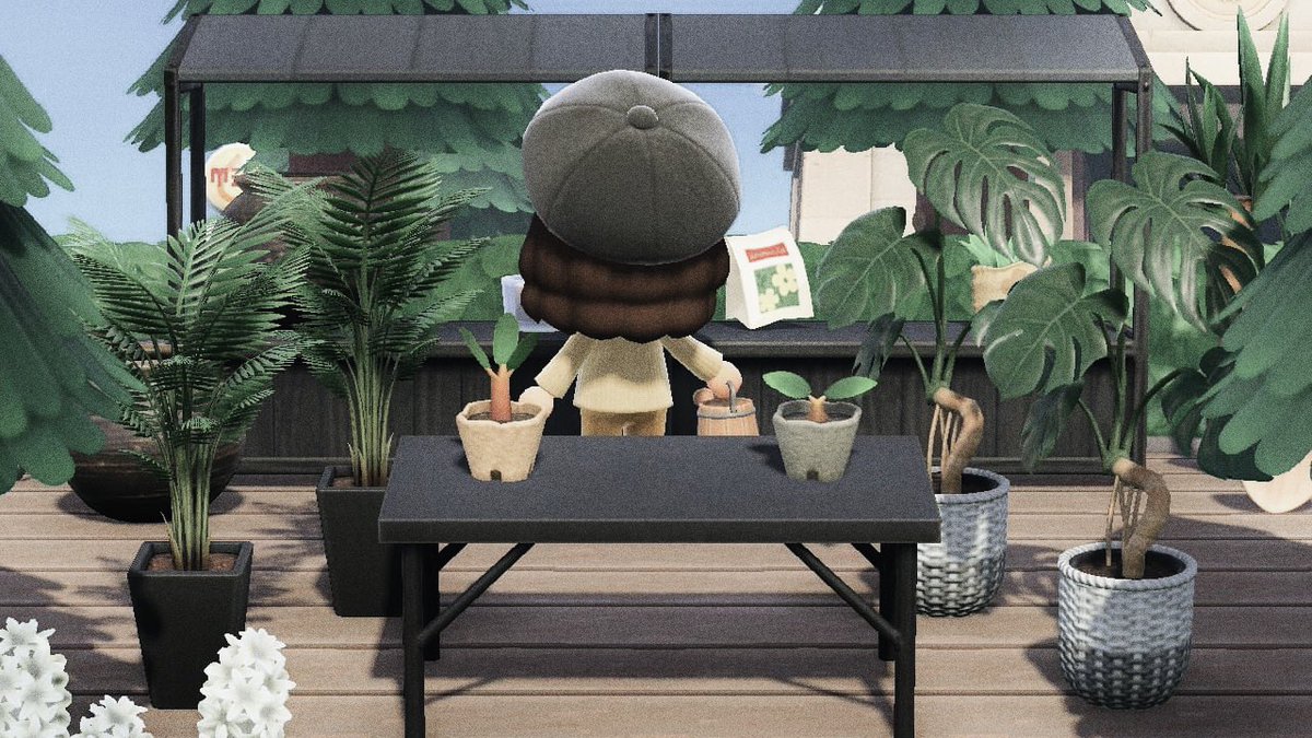 IslandOfRespec's tweet photo. Plant shop 🌿 https://t.co/JeVagvy67d