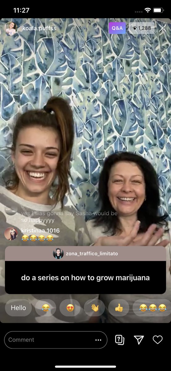 Clarkie228's tweet photo. Are they not the cutest ??? @koalapuffss https://t.co/DshdXQ0fRw