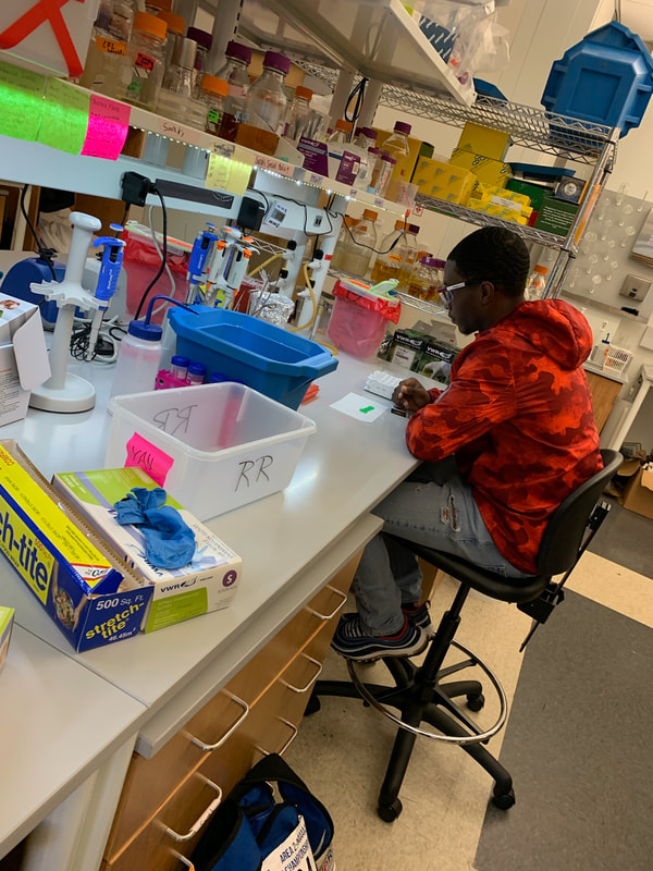 McEachernSTEM's tweet photo. Congratulations to McEachern's class of 2020 STEM students!  Job Well done! @McEachernHigh @tribalcounselng https://t.co/cqp4ZjWhl2