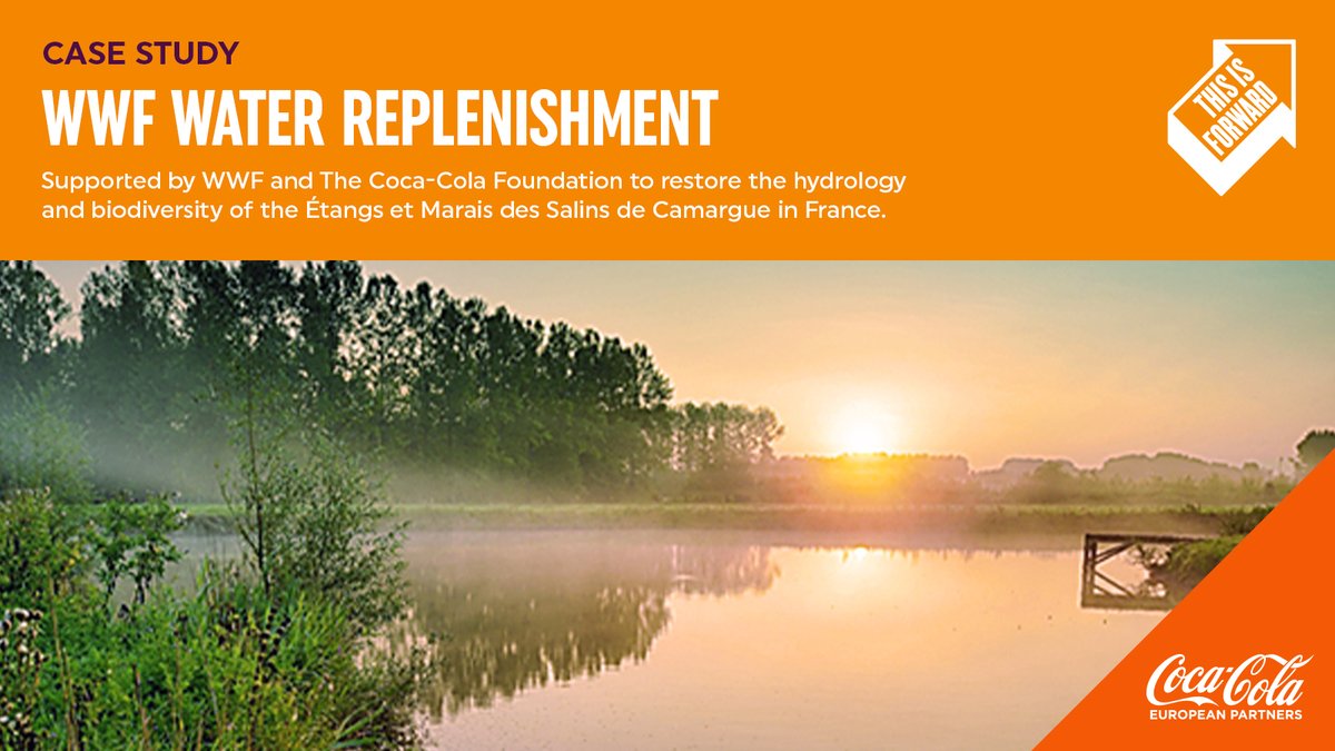 CocaColaEP's tweet photo. As part of replenishing 160% of the water we used in our drinks last year, our five year partnership with @WWFFrance helps to restore biodiversity to coastal areas in the Camargue. Find out more about this initiative and other #ActionOnWater progress https://t.co/0XVvokyADj https://t.co/wa5mi0JnkH