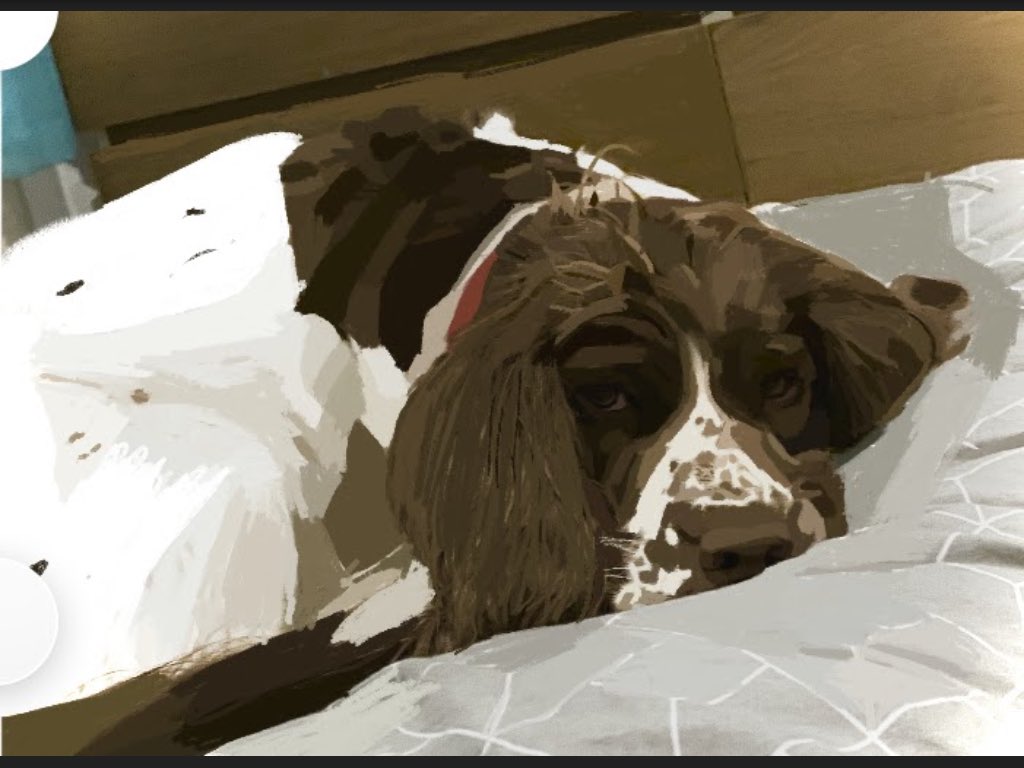 CulchethArt's tweet image. Wow &amp;amp; a huge Arty Well Done once again to our Year 8 and their IPad Challenge👏🏅🌟🎨✏️🖌1st Sam Wardle 2nd Freya Wise 3rd Lily-Beth McGowan Keep going with the amazing Art work &amp;amp; watch out for the next challenge #WeAreCHS #CulchethHS 🤓