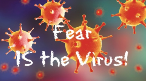 therealjavalily's tweet photo. #FearIsTheVirus #KnowledgeIsTheCure https://t.co/SNE3wiYRya